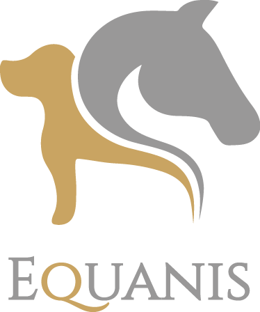 Equanis Logo