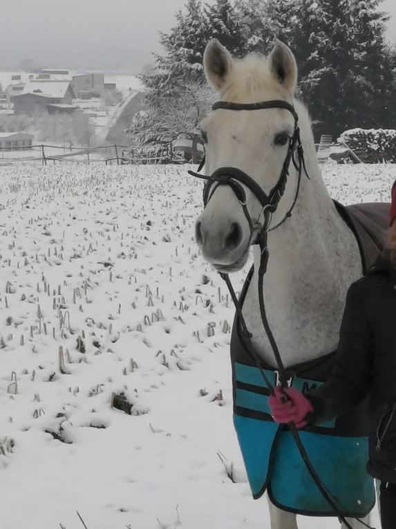 Flöckchen schnee