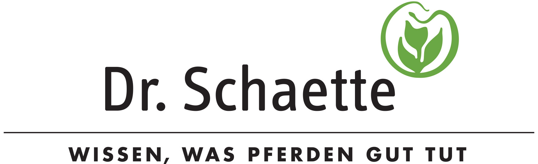 Dr Schaette Logo