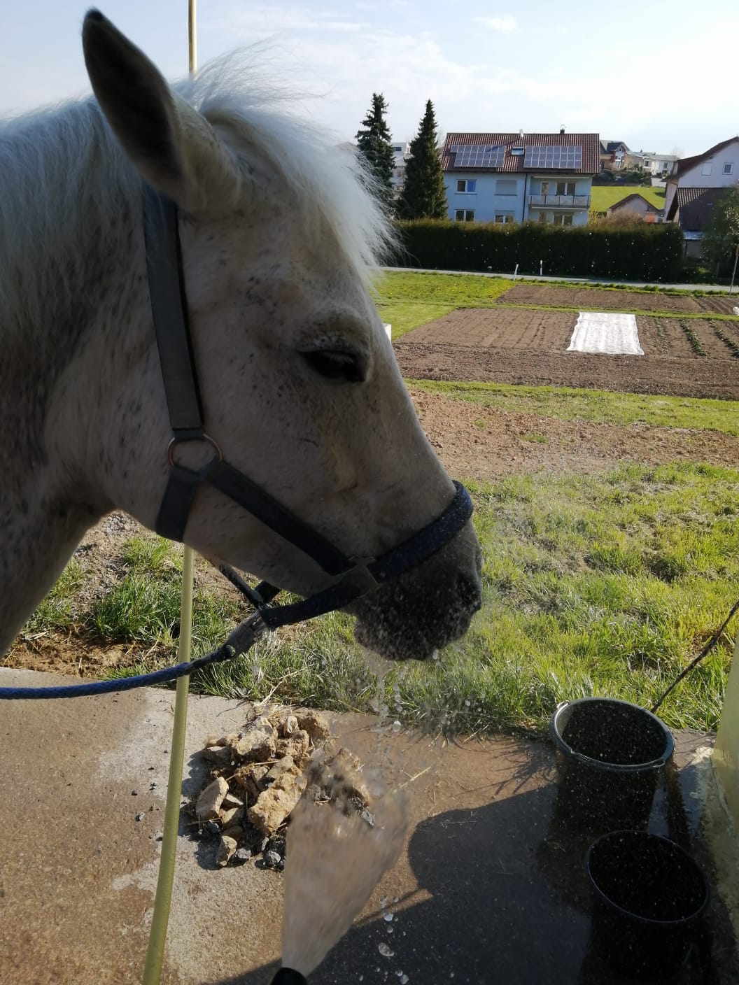 Flöckchen Wasser