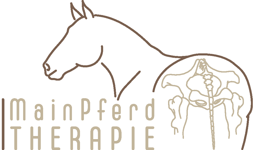 Main Pferd Therapie